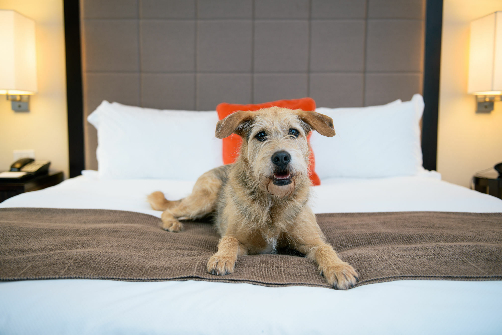 Candlewood Suites Charleston-Northwoods By Ihg Север Чарлстон Экстерьер фото